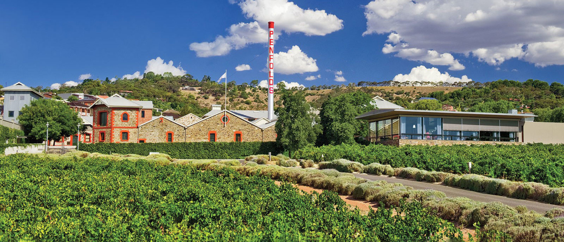 How Penfolds Bet the House on Blending