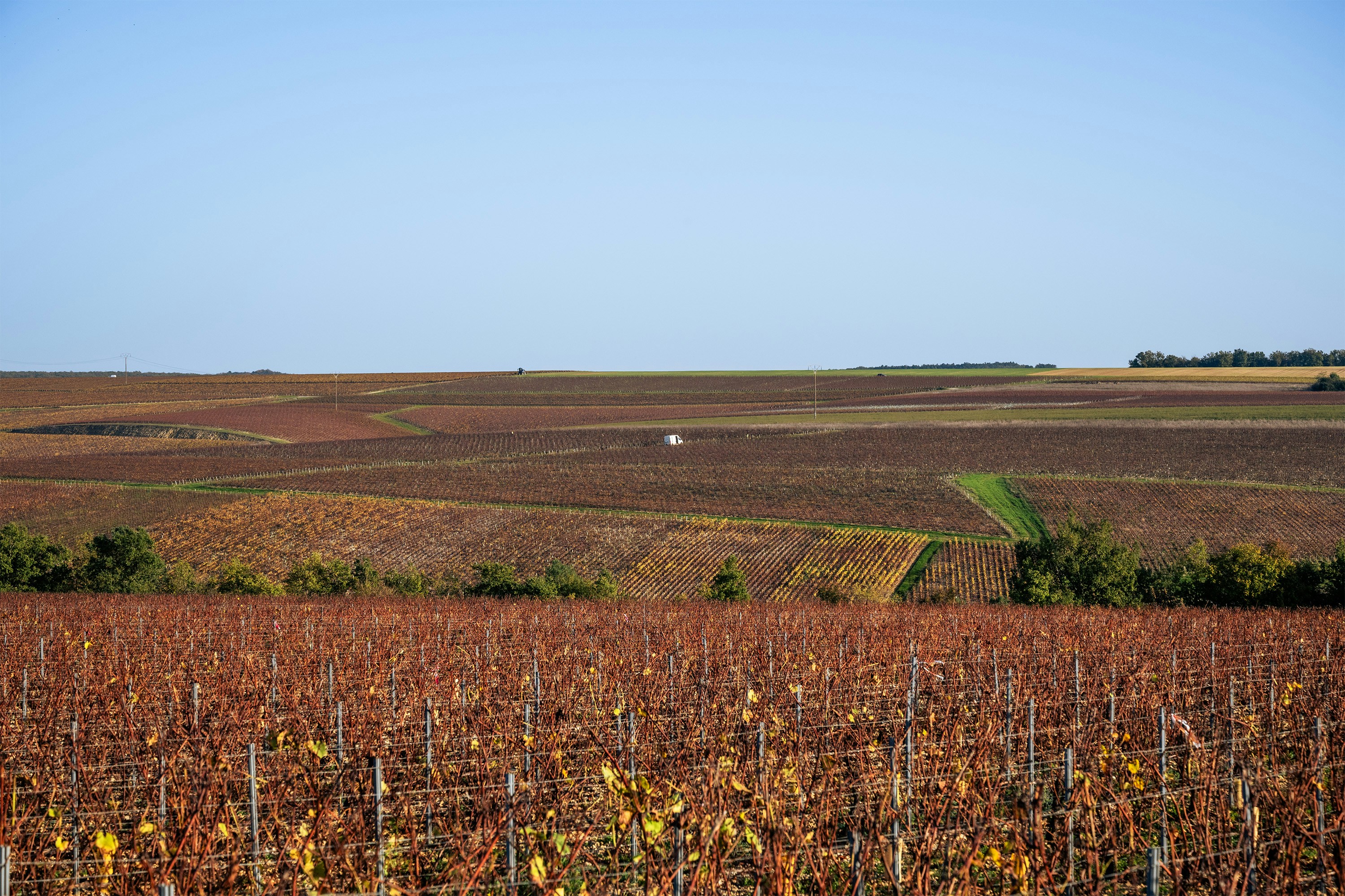 Loire and Chablis country — the heartland of crisp, mineral whites built for goat cheese