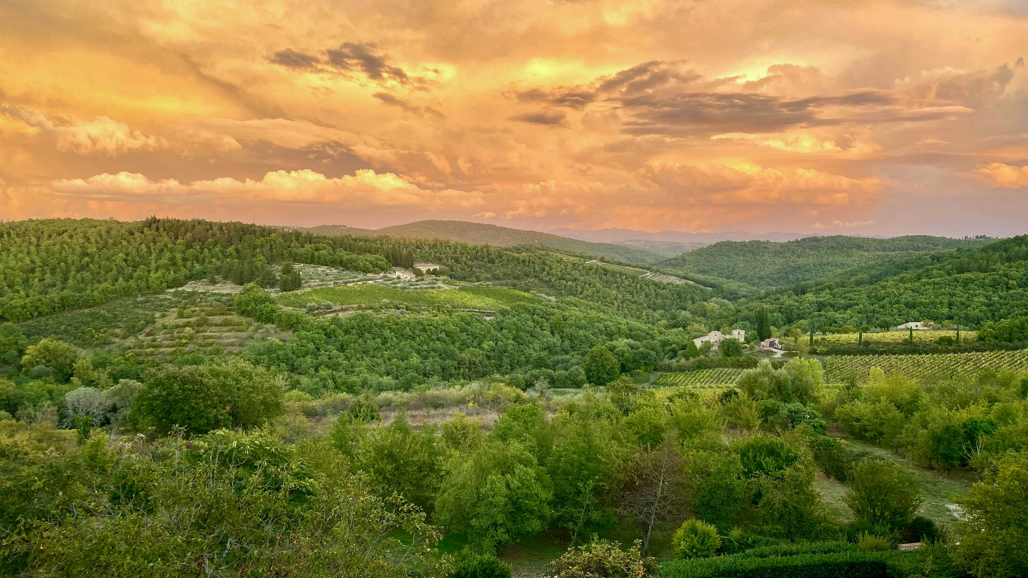 Why Le Pergole Torte Quit Chianti Classico
