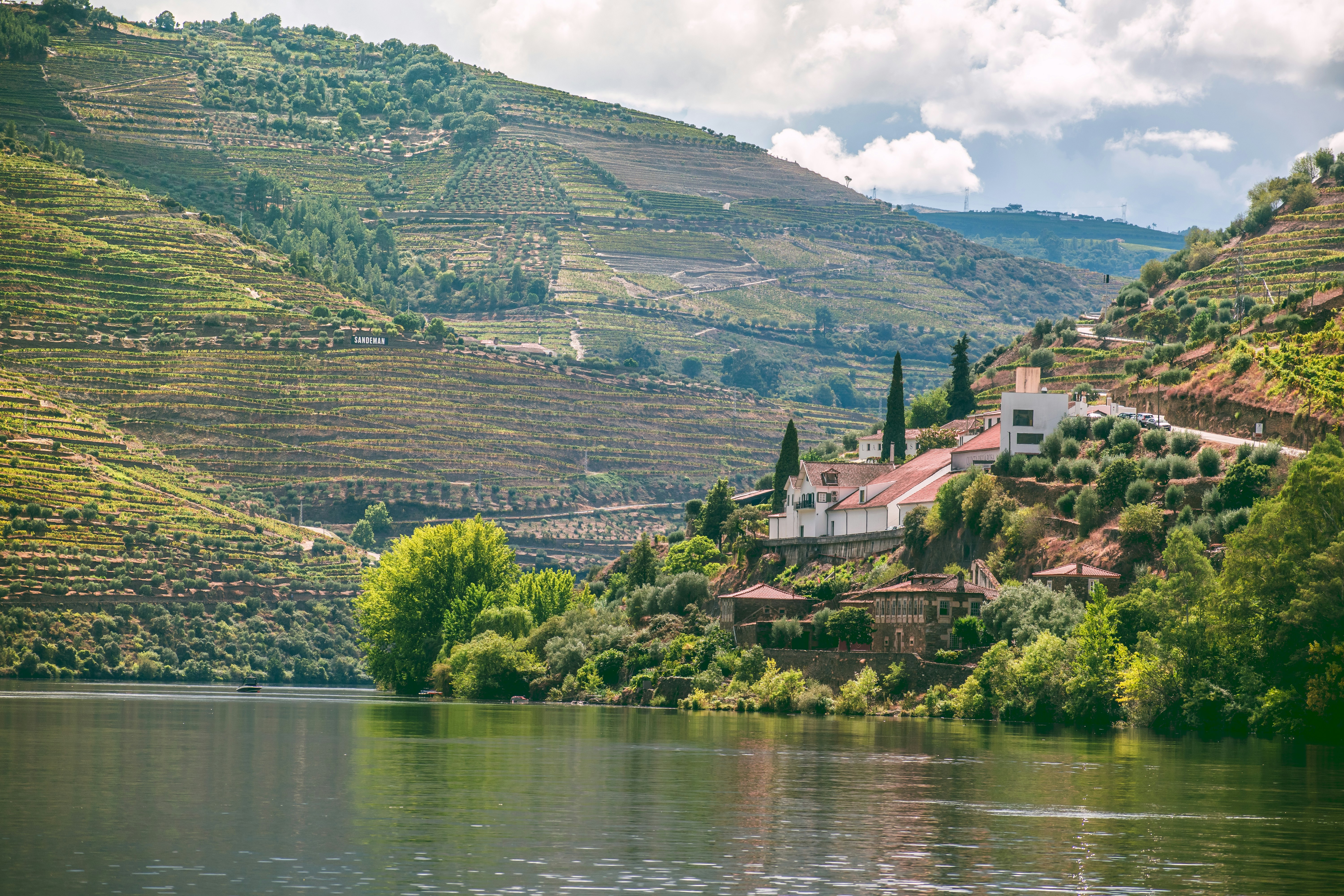 Douro Valley terraces — the home of Port, the world's most-collected dessert wine