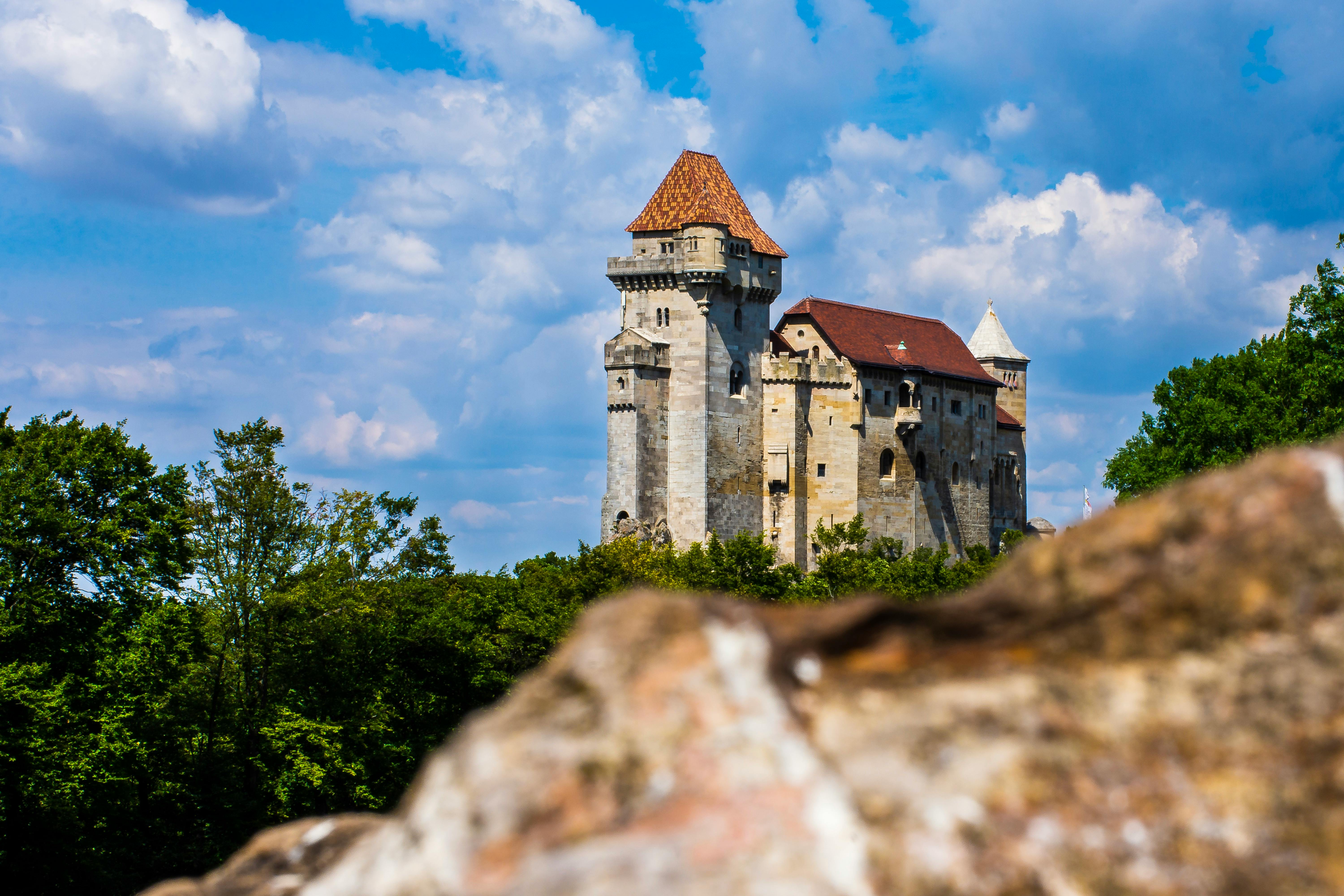 Why Honivogl Is Grüner Veltliner Taken Seriously