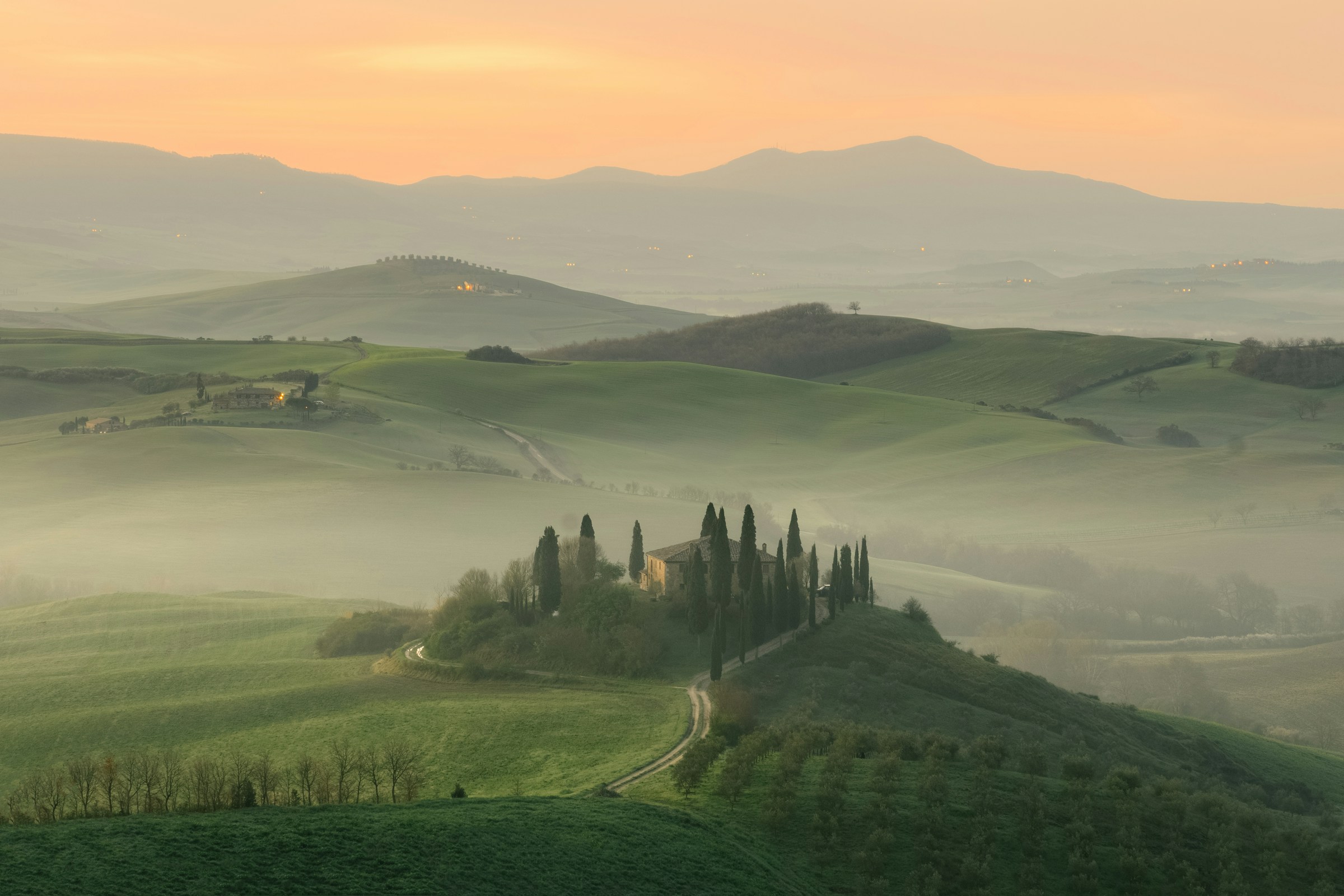 Tuscan vineyards — the Chianti hills between Florence and Siena